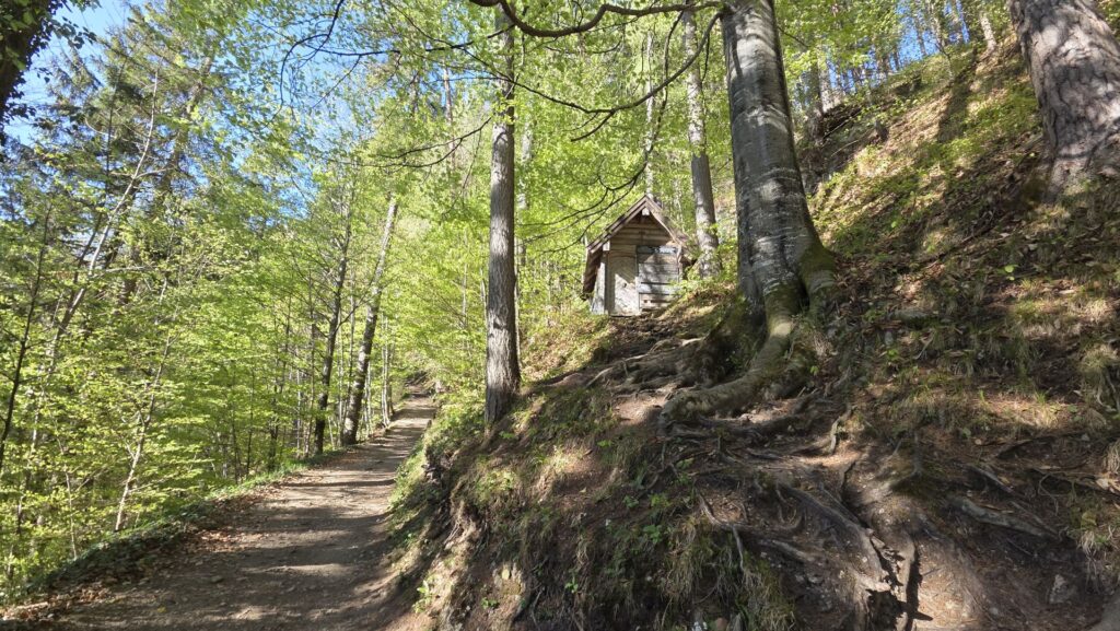 zelltripxplorer einsiedelei 14