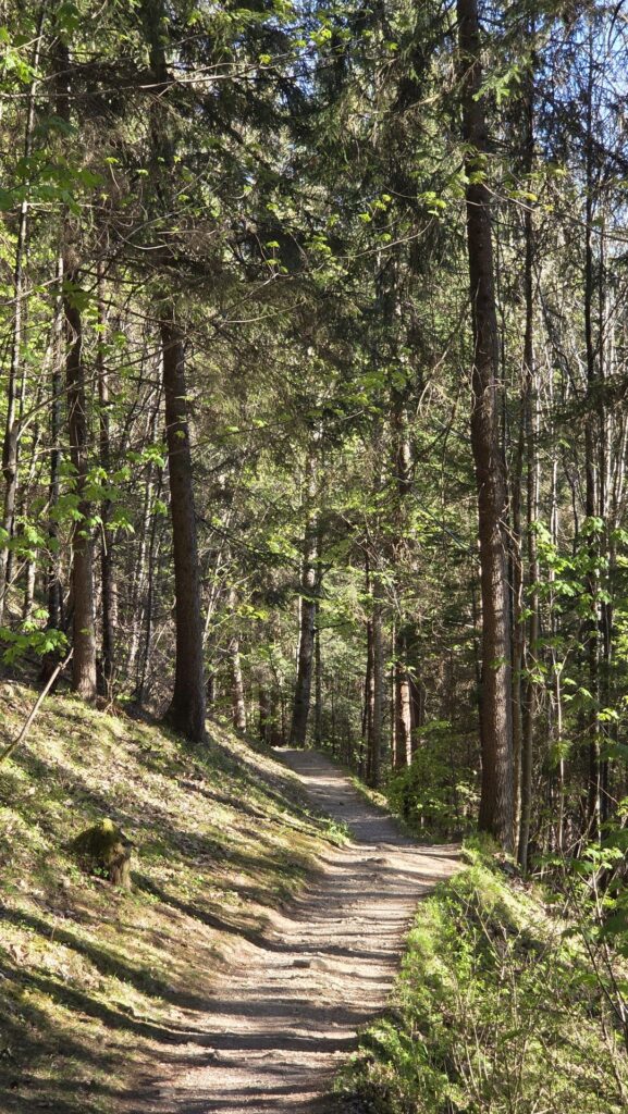 zelltripxplorer einsiedelei 35