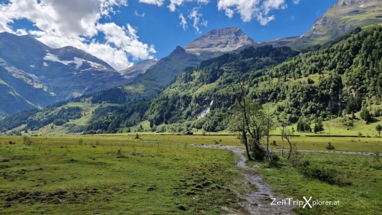 zelltripxplorer kaefertal 202