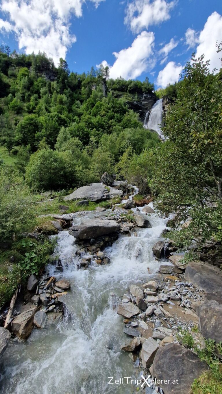 zelltripxplorer kaefertal 204
