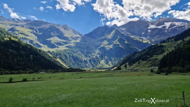 zelltripxplorer kaefertal 205