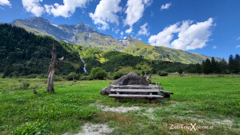 zelltripxplorer kaefertal 207