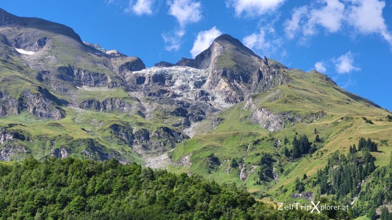 zelltripxplorer kaefertal 209