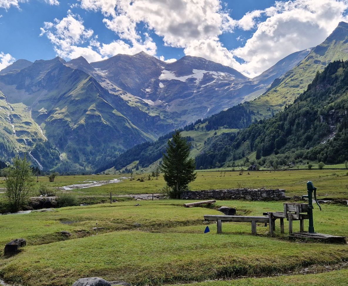 zelltripxplorer kaefertal 210sq